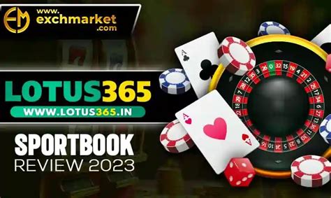 lotus365 betting site|Lotus365 Review .